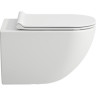 Подвесной унитаз LAUFEN BASAL COMBIPACK безободковый, с сиденьем SOFTCLOSE, быстрое снятие 8.66E1.0.000.000.1